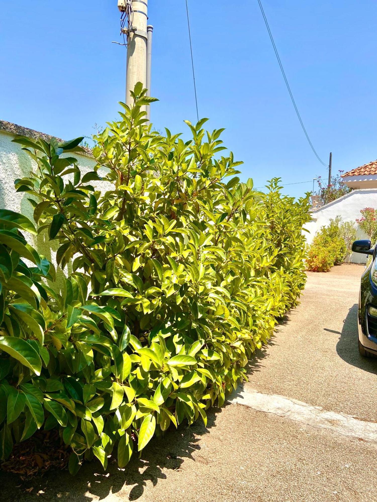 B&B Costa Azzurra Porto Cesareo Exterior photo